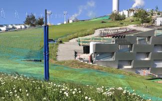 Grass growing through the synthetic mats on the skiing slope on a pitched roof.